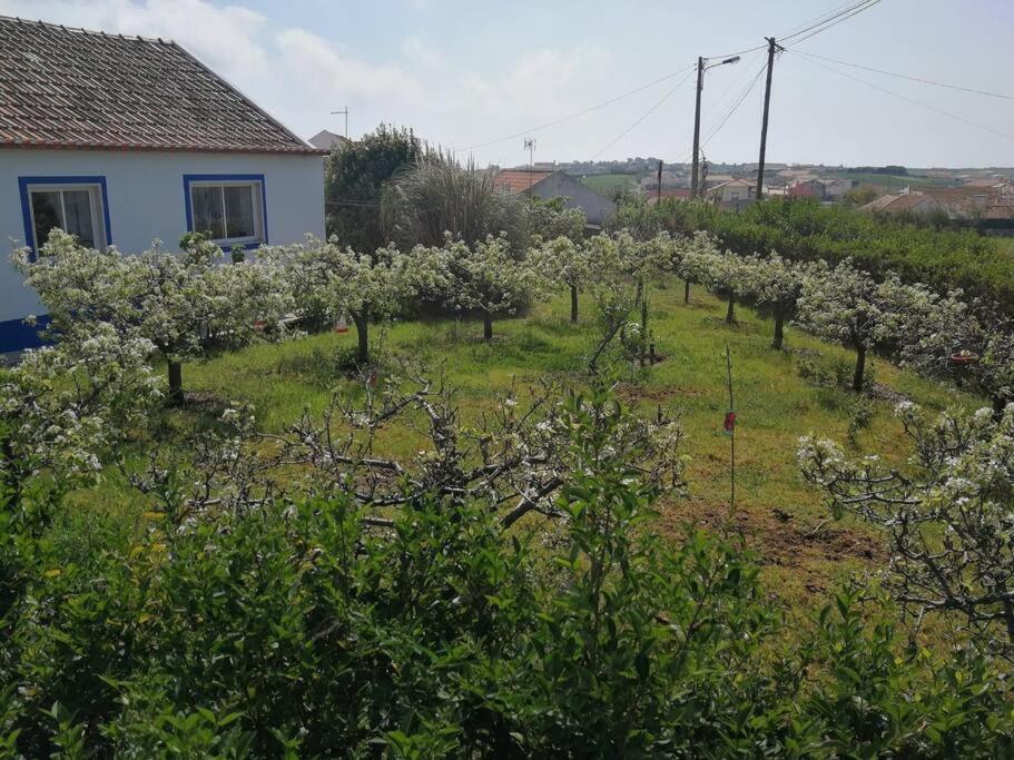 Casa Da Ti' Milia Villa Encarnacao Dış mekan fotoğraf