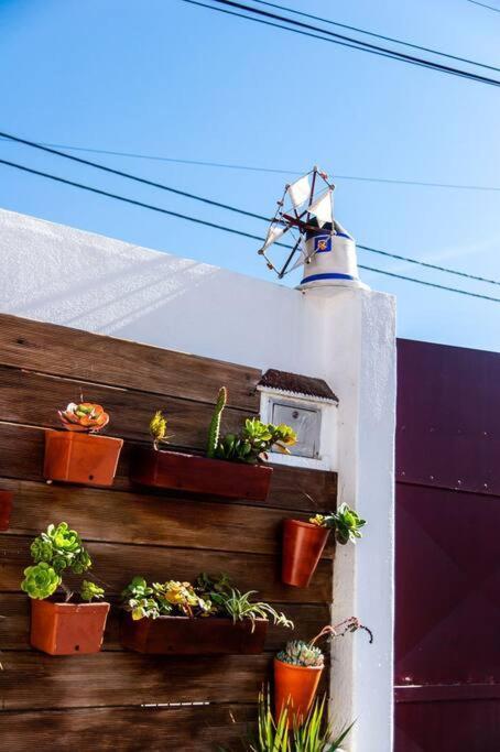Casa Da Ti' Milia Villa Encarnacao Dış mekan fotoğraf